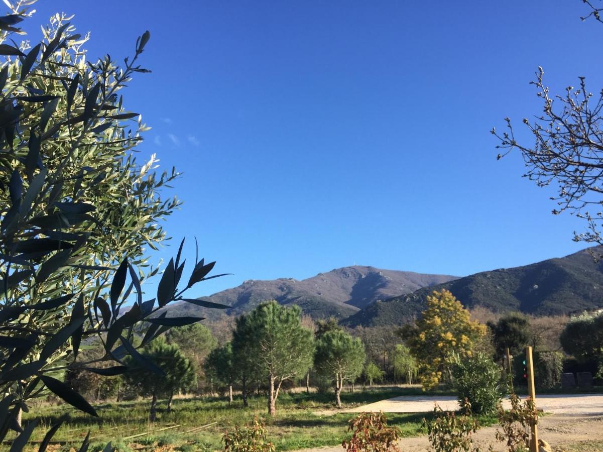 Domaine Pedra Llampada Gites Montagne Villelongue-dels-Monts Exterior foto