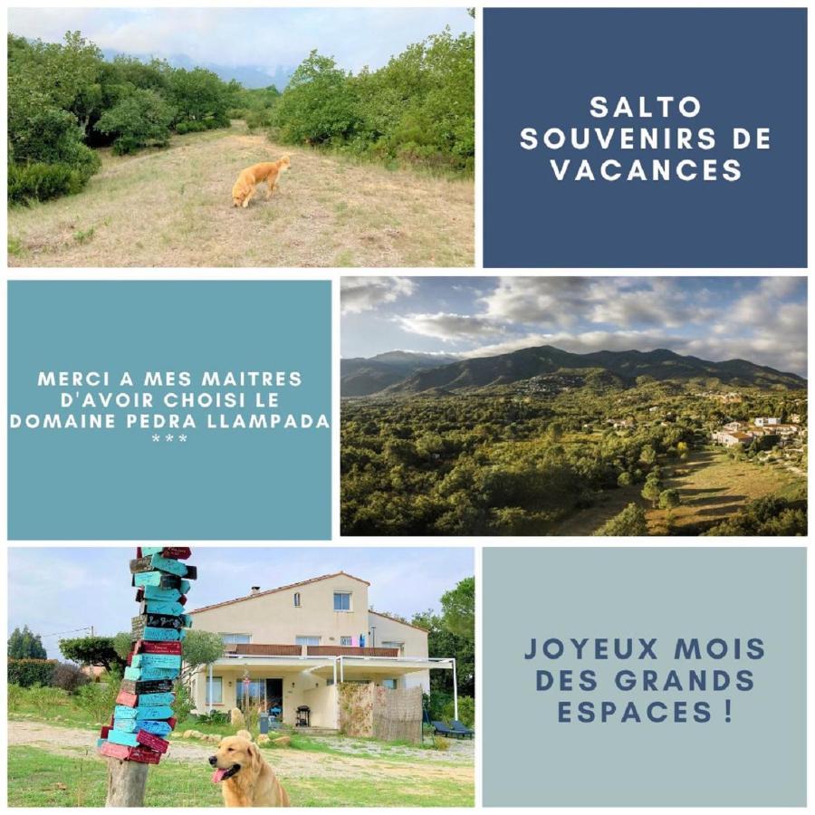 Domaine Pedra Llampada Gites Montagne Villelongue-dels-Monts Exterior foto