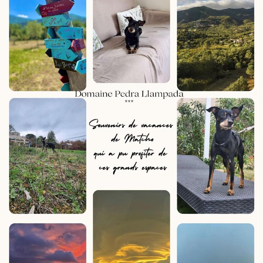 Domaine Pedra Llampada Gites Montagne Villelongue-dels-Monts Exterior foto
